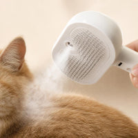 Anti-static steam mist in action on cat fur